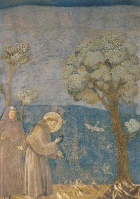 Giotto di Bondone. Franziskus predigt den Vögeln.KD "N"
